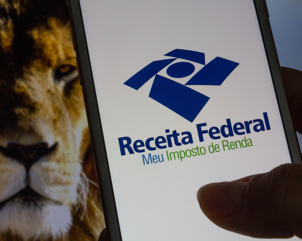 Erros Comuns na Declaração de Imposto de Renda e Como Evitá-los